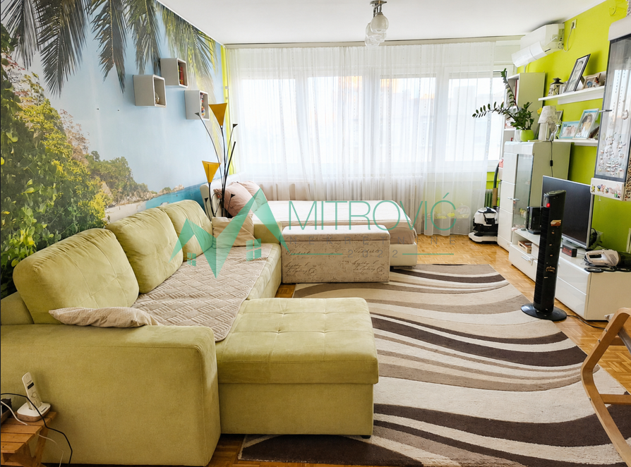 Dvosoban stan na Limanu 3 – kompletno renoviran i namešten (Šifra: 1004862) 