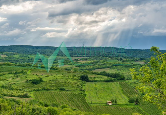 Zemljište · 3615 m² · Čortanovci