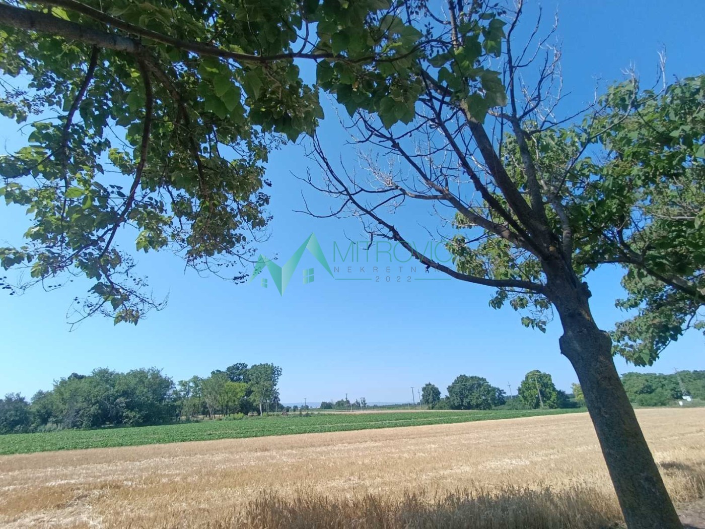 Участок · 24568 m² · Čenej
