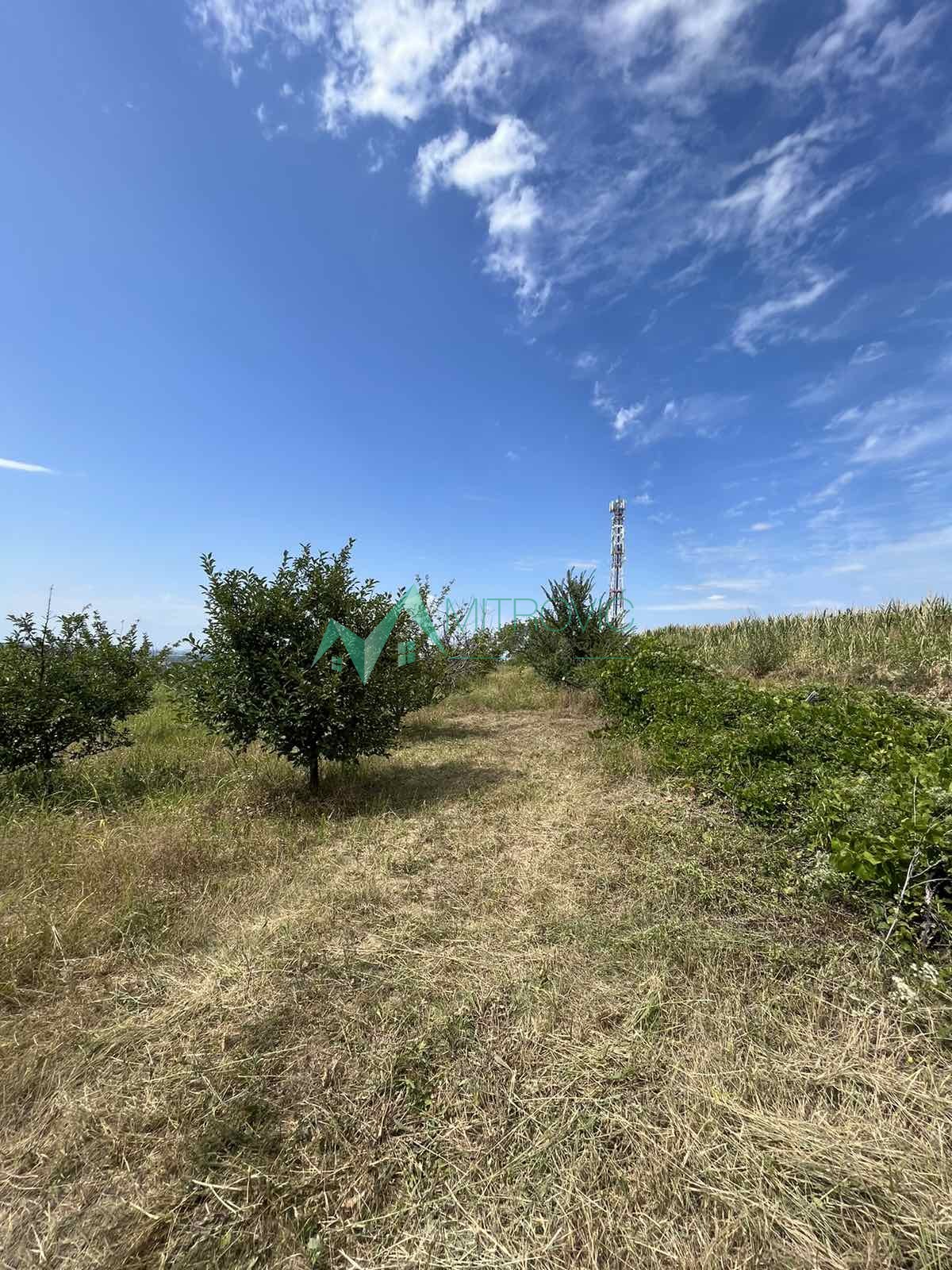 Land · 3737 m² · Sremski Karlovci, Zanoš